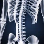 Bones Of The Vertebral Column Quiz