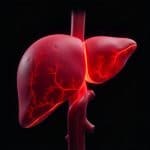 Liver Quiz