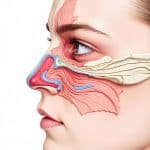 Sinuses Quiz