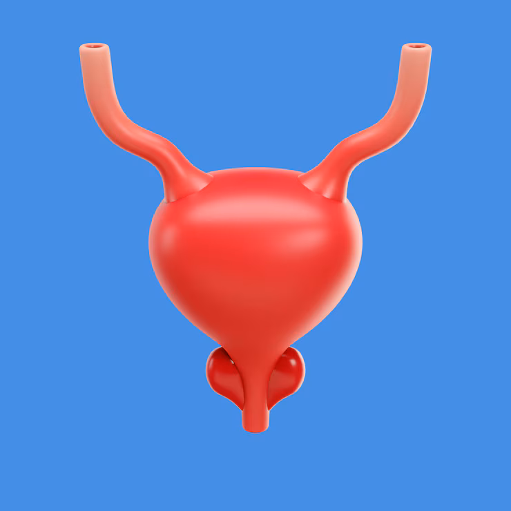bladder quiz