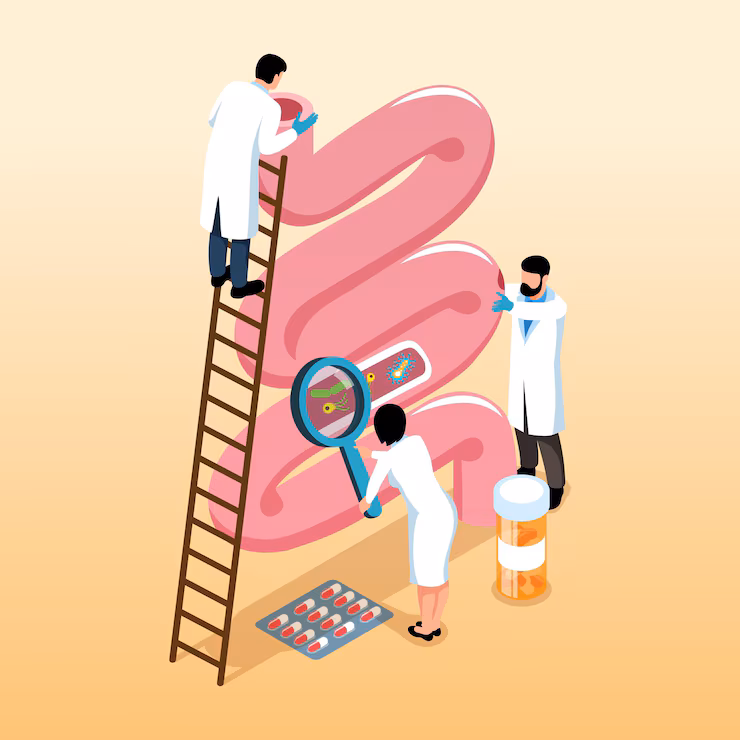 Digestive Process quiz