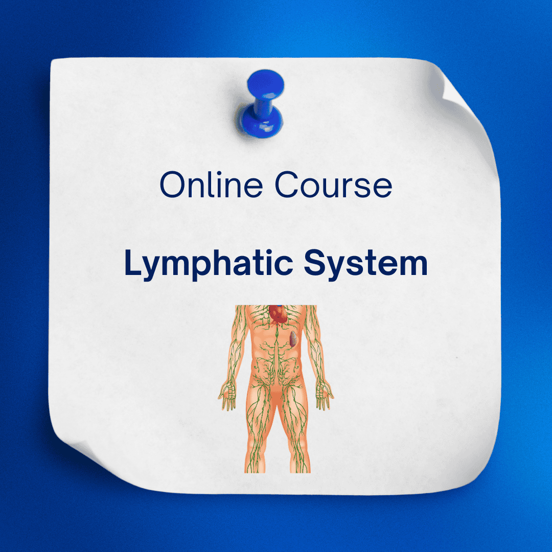 Lymphatic System