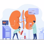 Nephrons