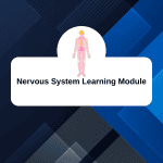 Nervous System Learning Module