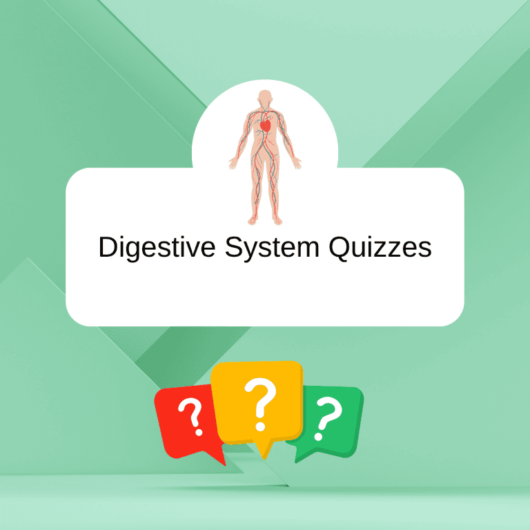 Digestive System