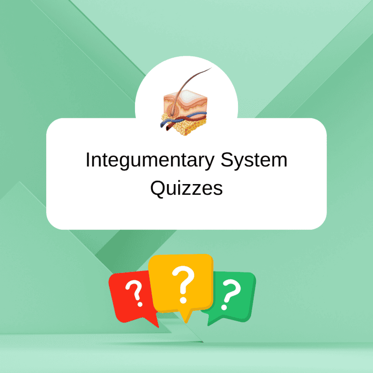 integumentary system quizzes